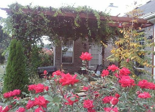 Rear Patio w/Pergola