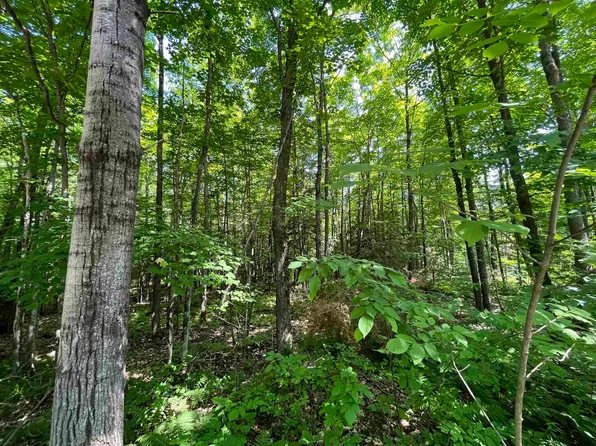 11010 Old 8 Rd, Crandon, WI 54520