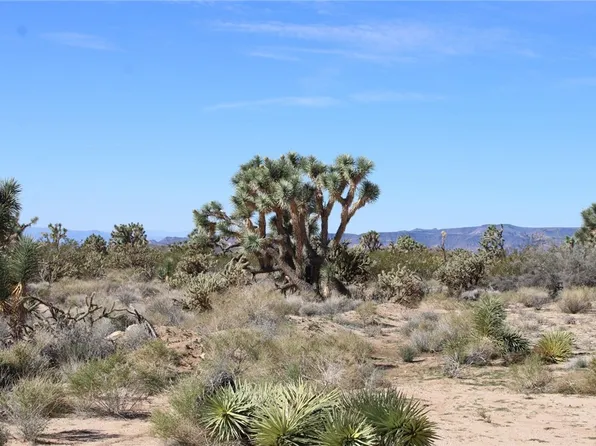 11961 S Sherry Rd, Yucca, AZ 86438