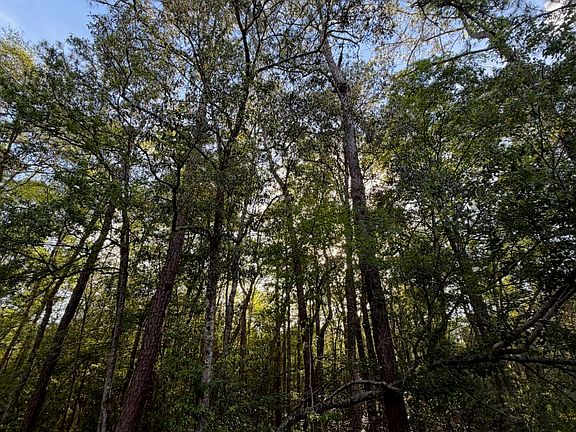 3rd image of State Line Rd