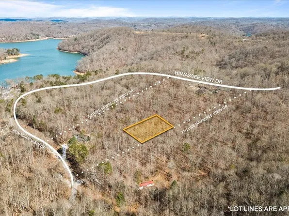 105AC Hiwassee View Dr, Jacksboro, TN 37757