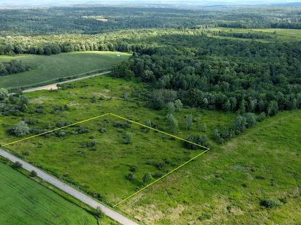 LOT 1 Staley Rd Lot 1, Willet, NY 13863