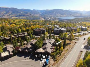 14 Spyglass Lane #14, Silverthorne, CO 80498