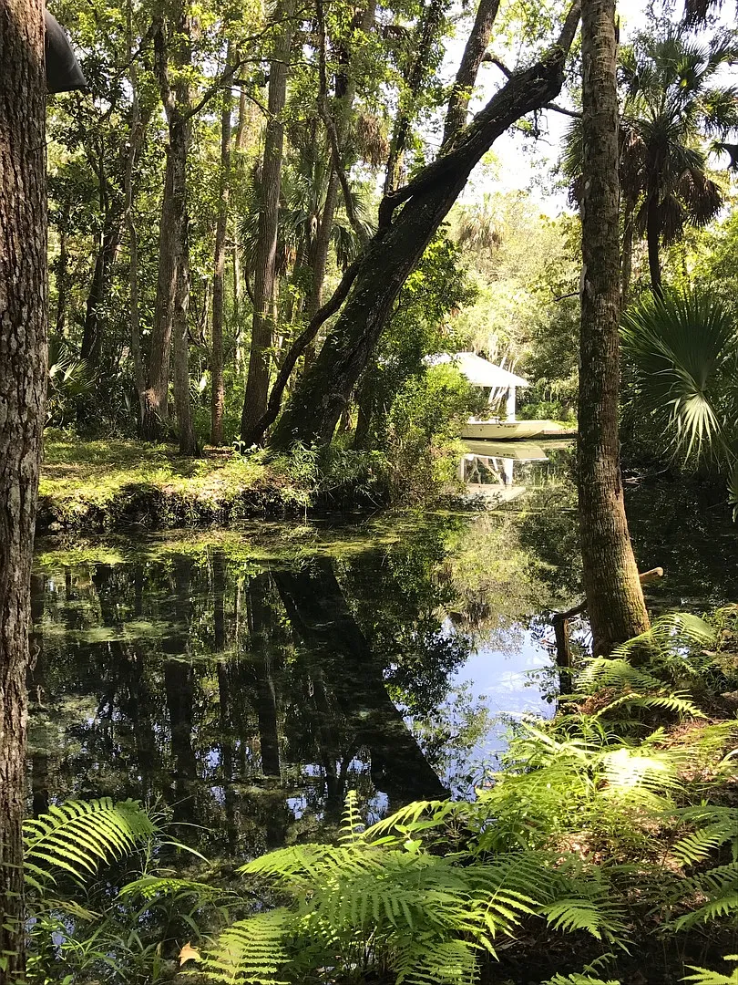 1/1 Waterfront Cabin with Headspring on Property in Homosassa — Photo 4