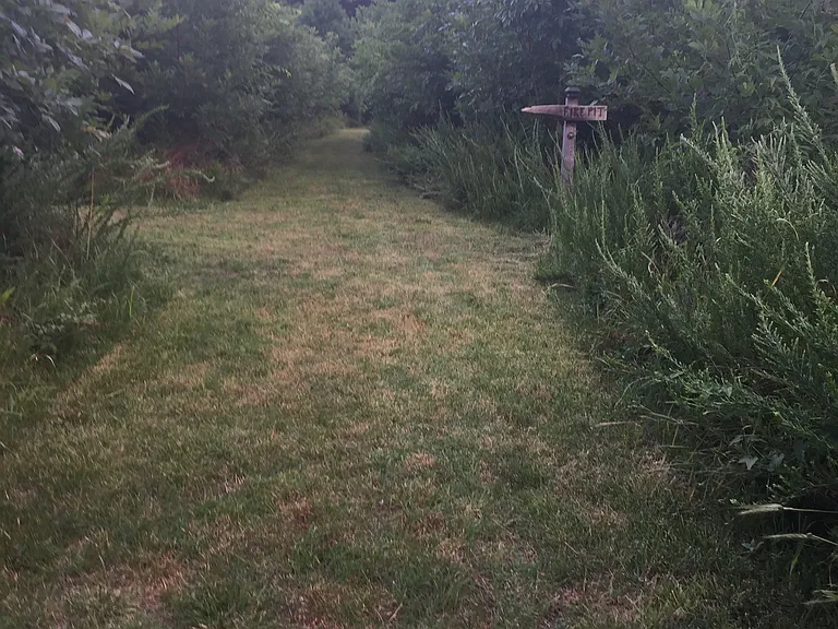 8183 Coley Davis Rd — Photo 14
