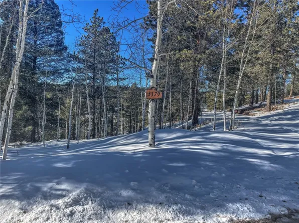 3379 Pathfinder Rd, Florissant, CO 80816