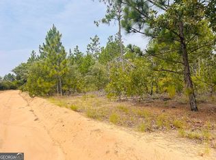 375 Village Ln, Mauk, GA 31058