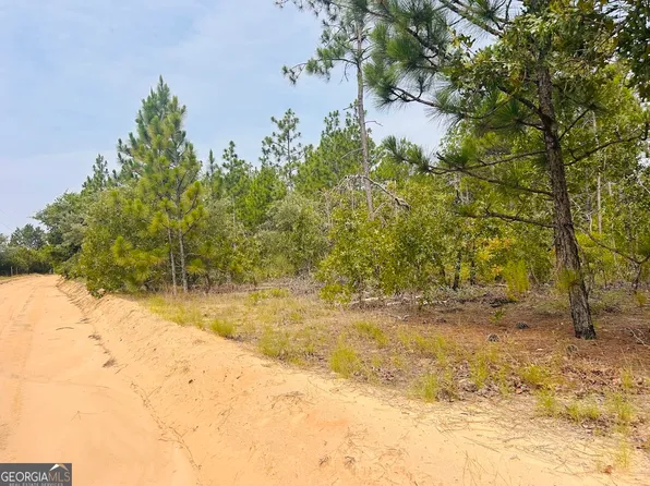 375 Village Ln, Mauk, GA 31058