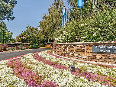 Sofi Fremont