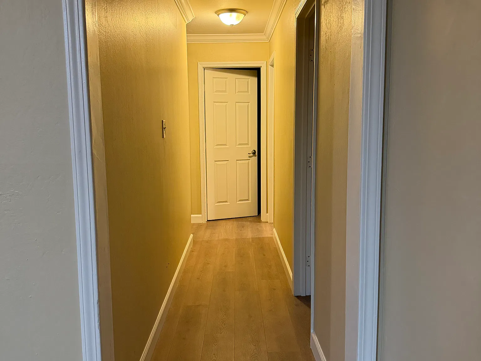 4 bed, 1550 sqft, $4,200 — Photo 2