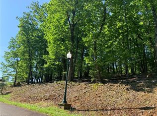 131 Cascading Creek Trl, Denton, NC 27239