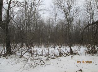 3417 N Poplar Ave, White Cloud, MI 49349