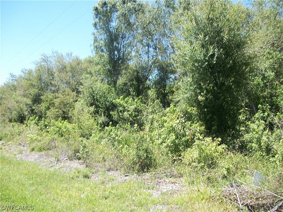 2nd image of 269 Bald Cypress Ave
