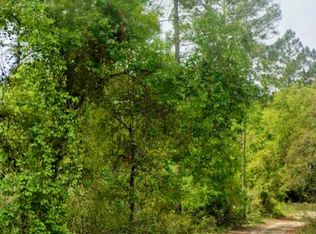 N Edgeline Rd, Satsuma, FL 32189