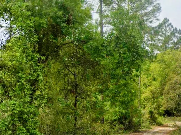 N Edgeline Rd, Satsuma, FL 32189