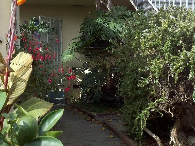 first floor garden