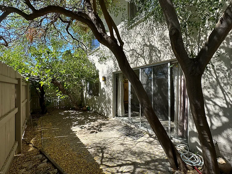 Lovely, peaceful private back patio with mature fig and other trees.