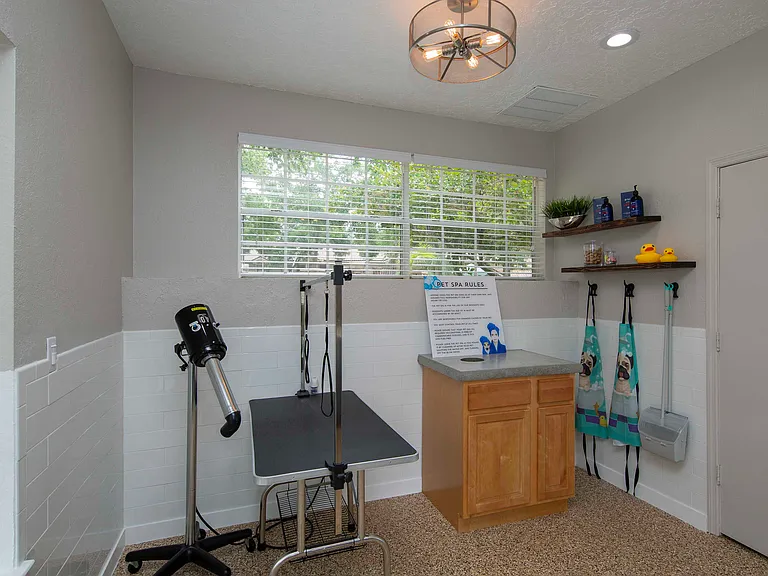 Pet Spa