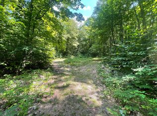 Vl 20 Hollow Haven Ln, Mancelona, MI 49659