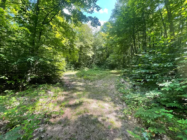 Vl 20 Hollow Haven Ln, Mancelona, MI 49659