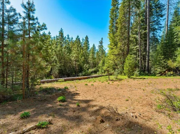 2900 Squaw Valley Rd, McCloud, CA 96057