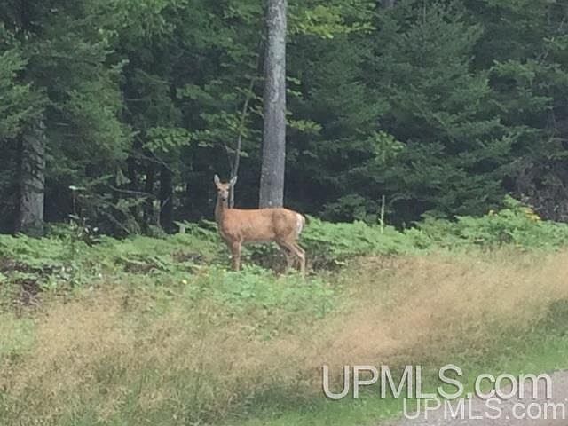 1st image of 695 County Road 492