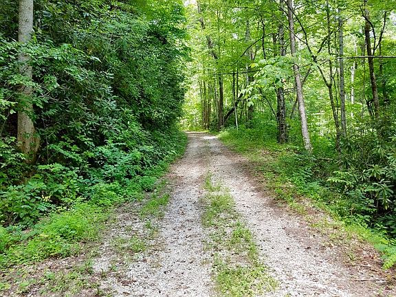4th image of LOT 34 Mountain Vis