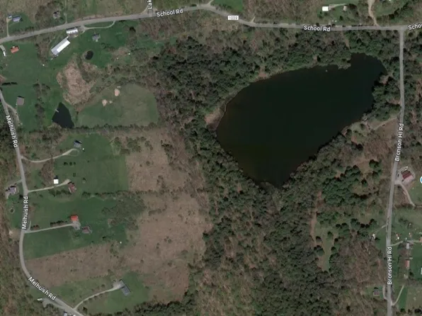 627 & 691 Bronson Hill Rd, New Milford, PA 18834