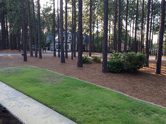 Front yard