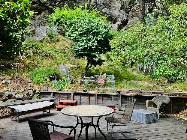 Shared Backyard