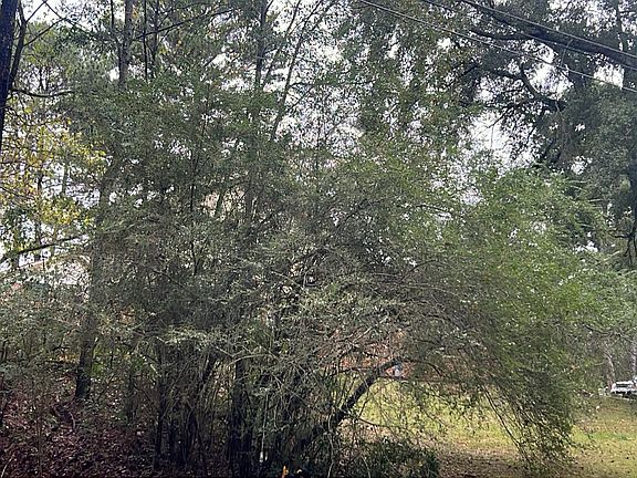 3rd image of 1705 Sandra Lee Dr