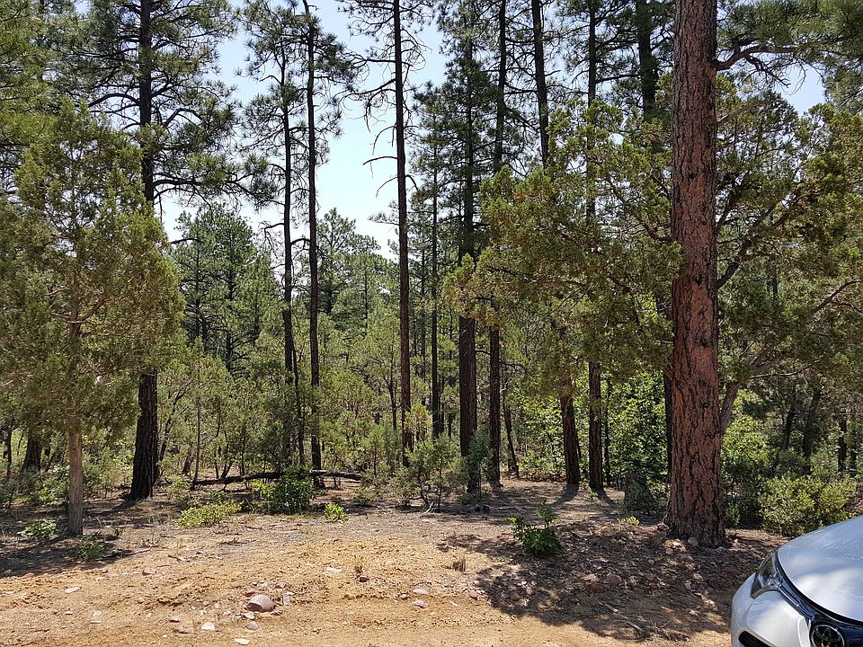 1st image of 1925 Pleasentview Dr