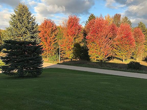 View from front door 
