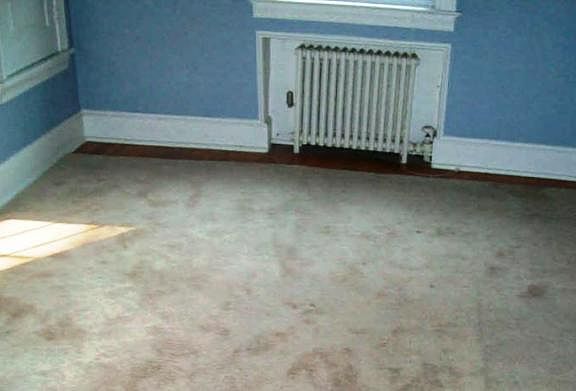 4th image of 1134 Elm St
