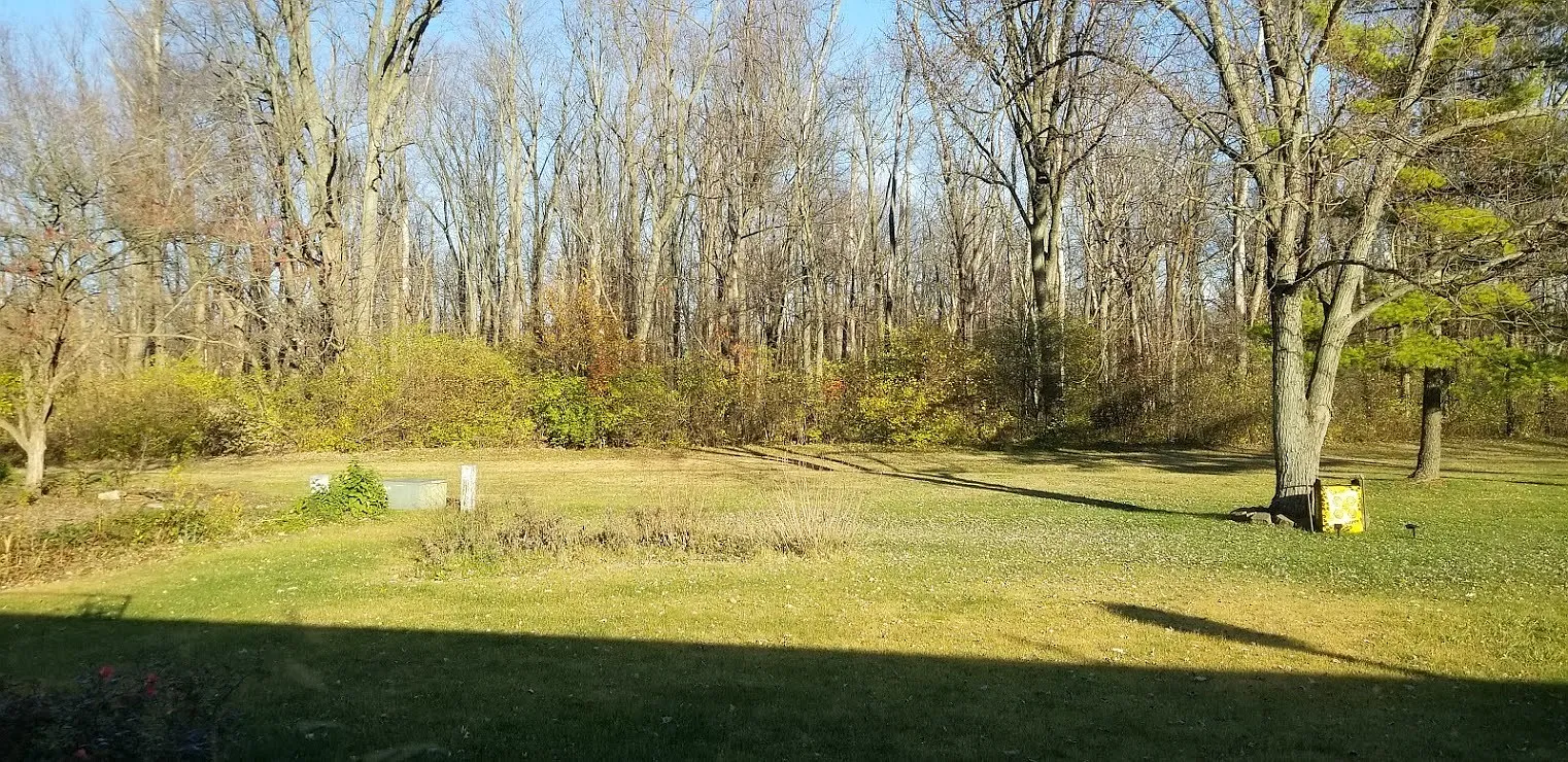 4315 Forestview Ct — Photo 1