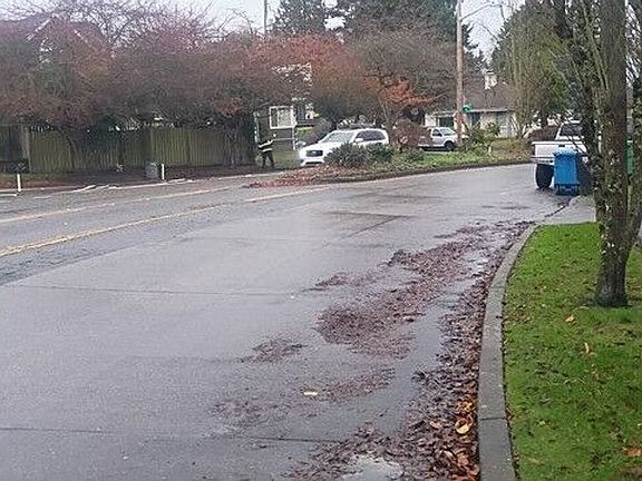 4th image of 3017 W Government Way