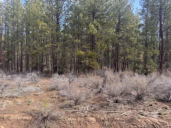 3rd image of Bliss Rd