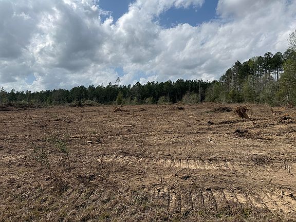 5th image of Wesley Coleman Rd