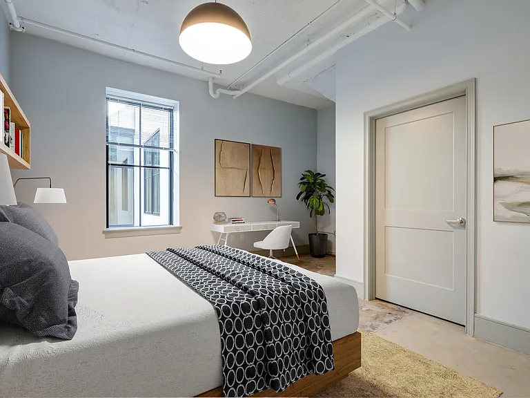 Zeropak — Photo 6