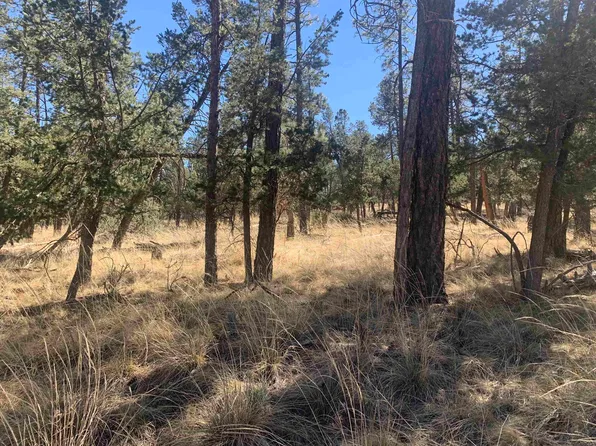 33 Dixwood Dr Lot 33, Timberon, NM 88350