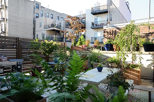 Rented by Triumph Property Group | media 1