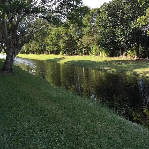 331 Lakeview Dr #201 — Photo 28