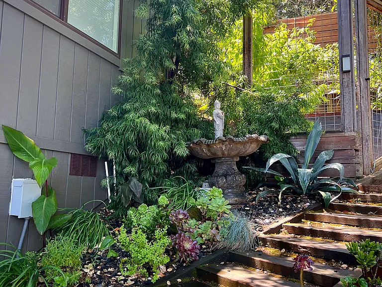 Sideyard