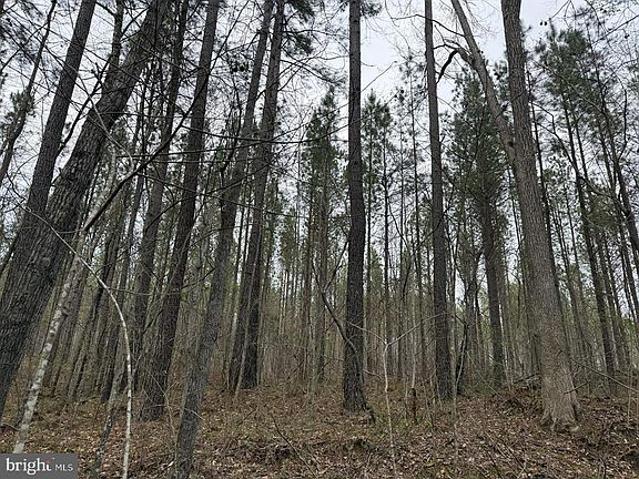 5th image of Dodson Rd Tract C117
