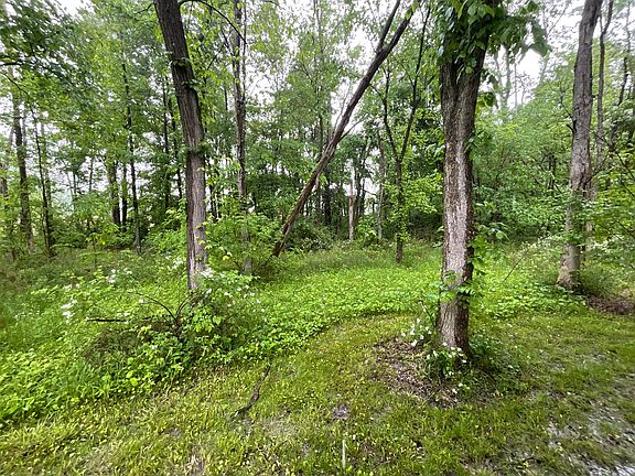 5th image of 8782 State Road 42