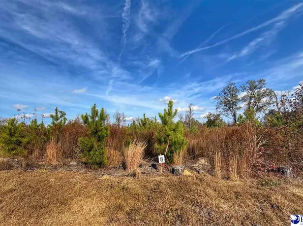 LOT 5 E Academy St, Latta, SC 29565