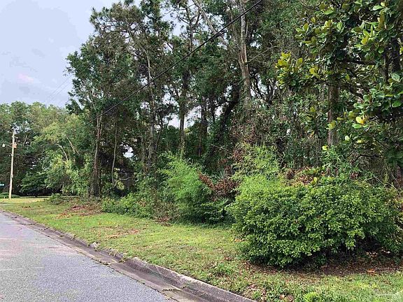 3rd image of 2200 Pine Needles Cir