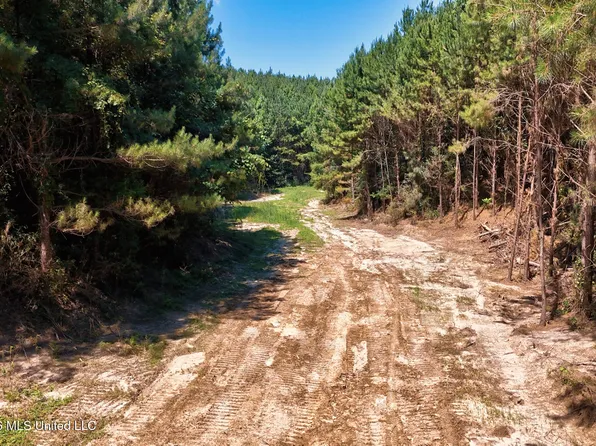 NW Ben Briggs Rd, Roxie, MS 39661