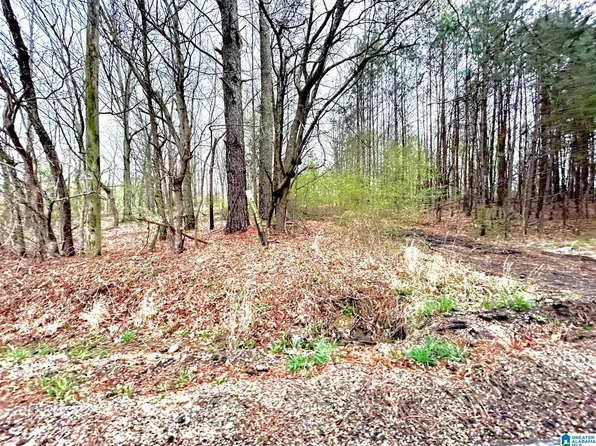 1 Kelly Creek Rd #1 & 2, Moody, AL 35004