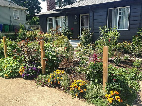 Front garden and porch
